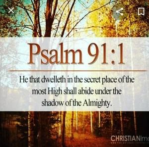 Meet your Posher, Lloyd